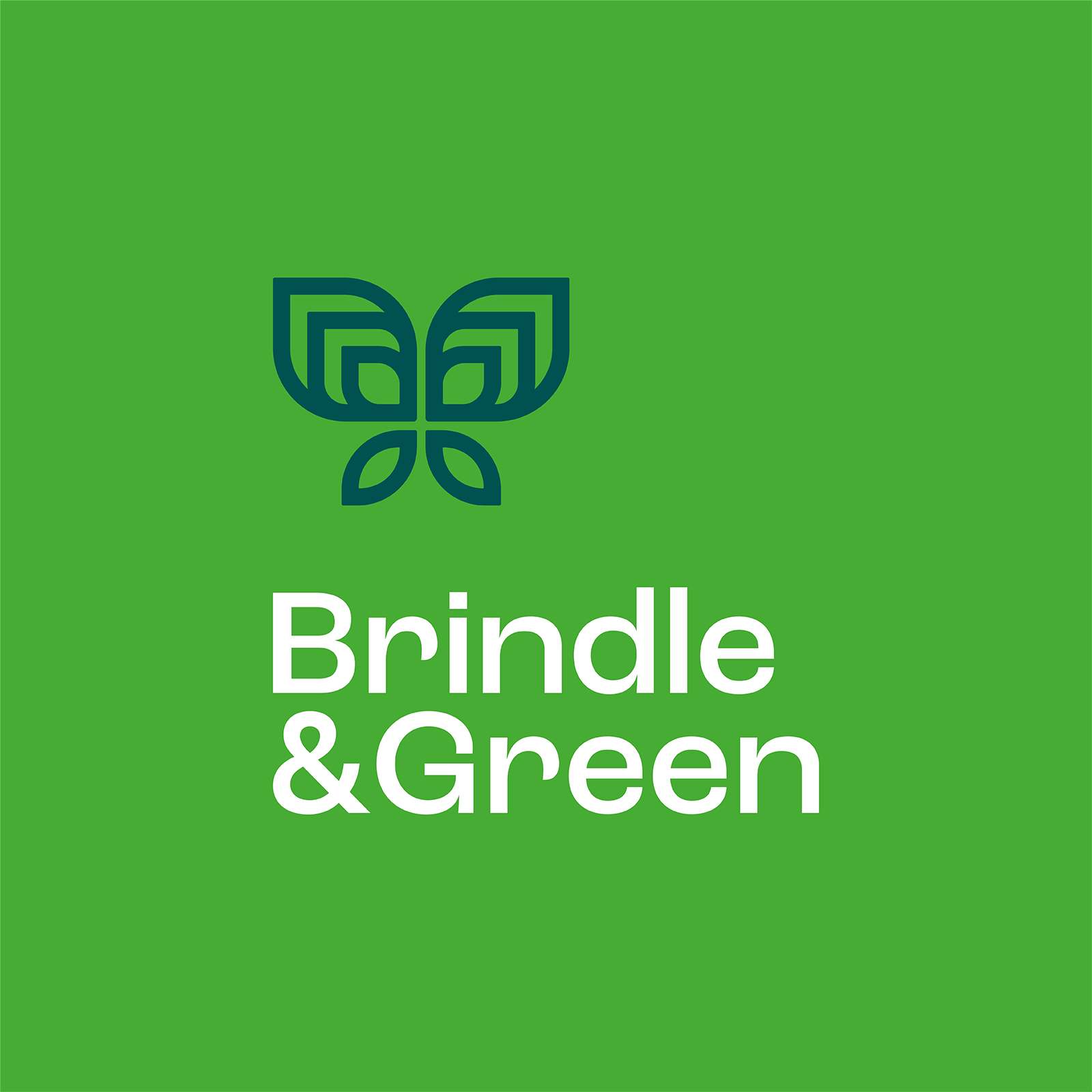 BrindleGreen CaseStudy Images