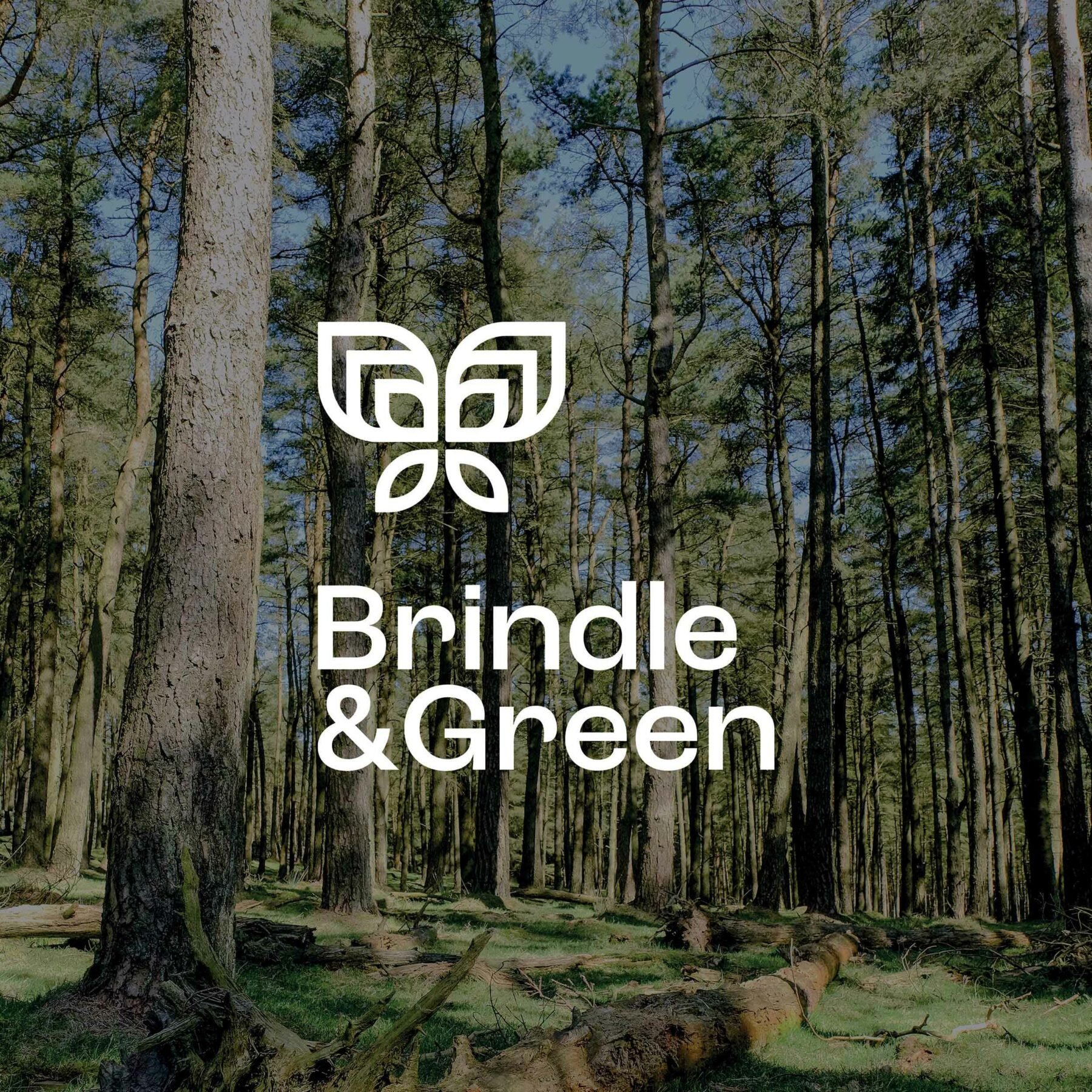 PM BrindleAndGreen PortraitLogo OnLandscape Image Optimised