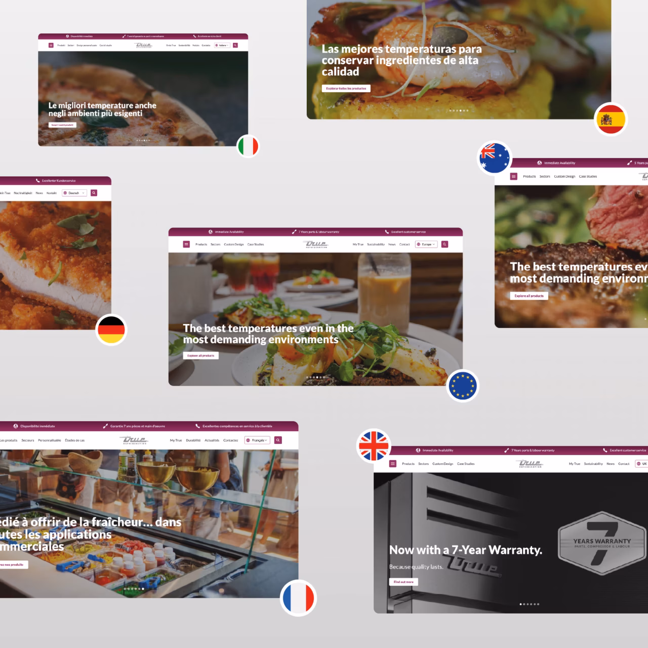 True_Website_MultiSite